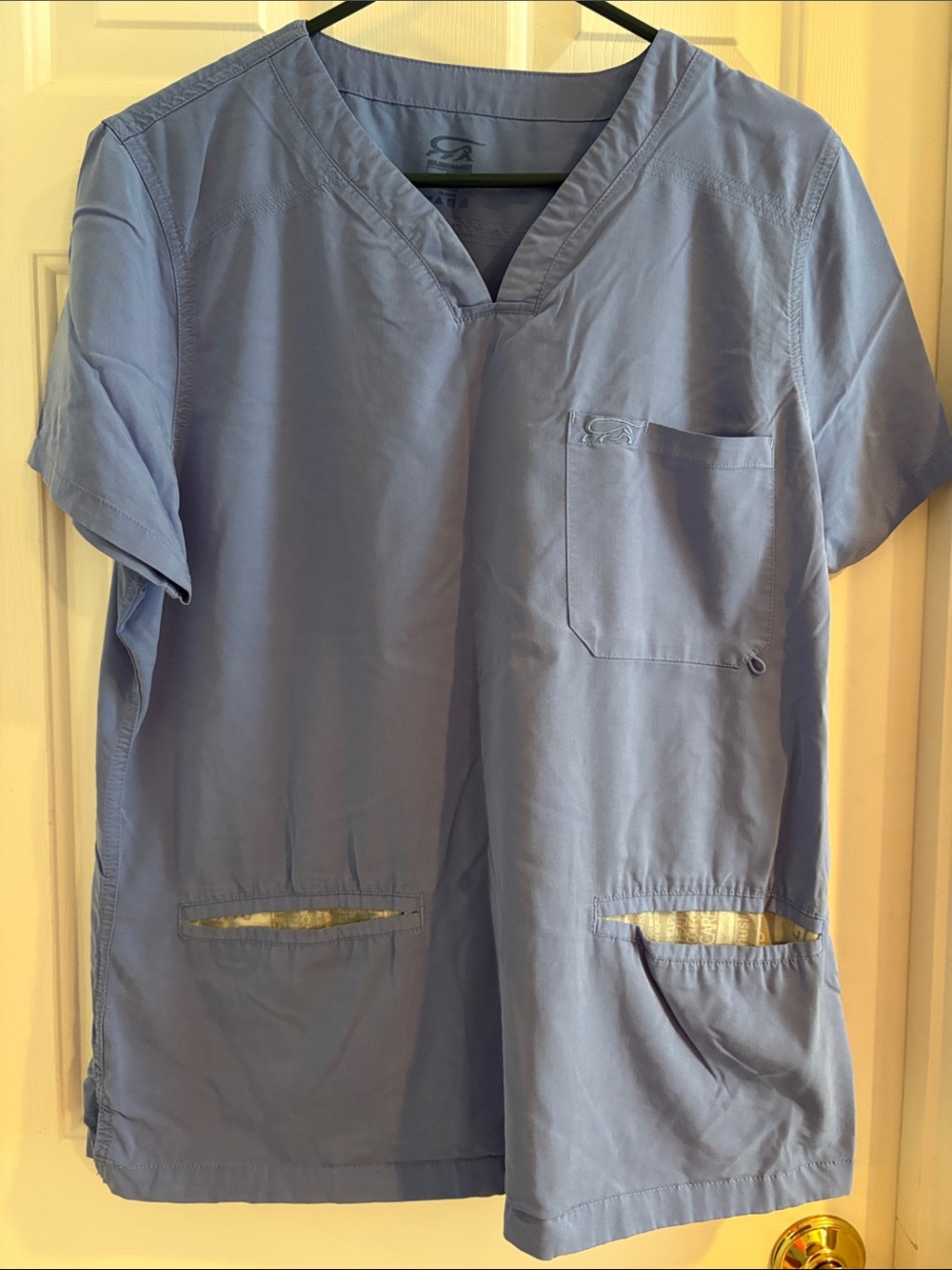 Ceil Blue Women's V-Neck Scrub Top - Iguana Med